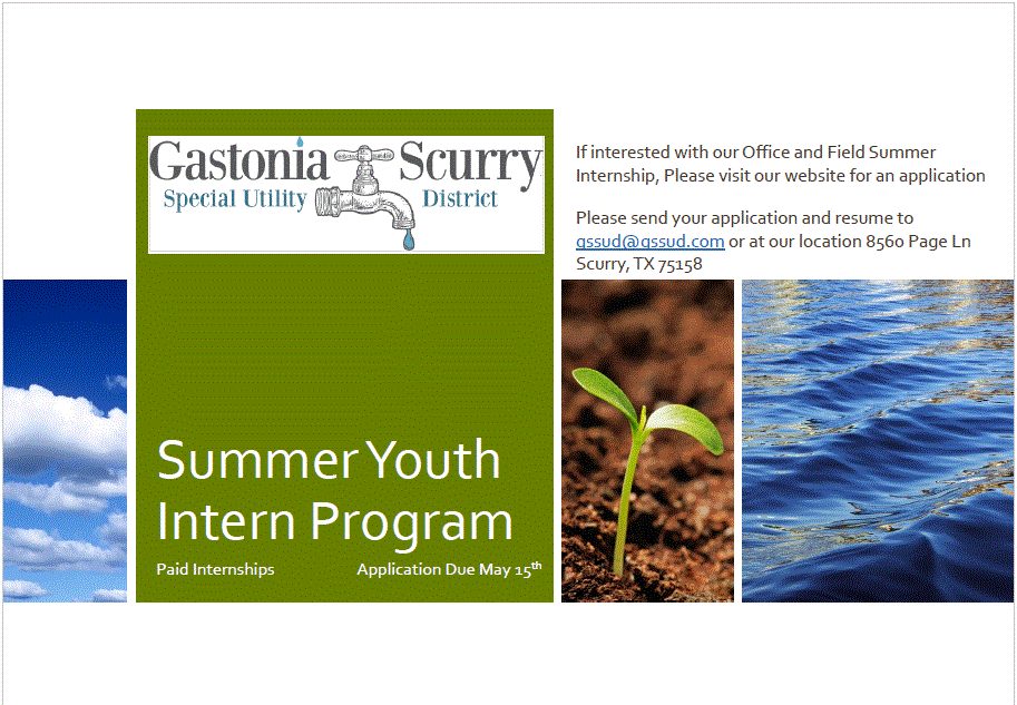 2024 Youth Intern Program 